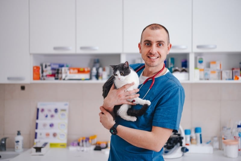 Vet holding a cat